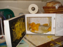 picture of squash exploded in microwave