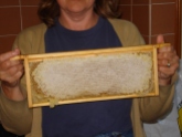 picture of a frame of comb honey