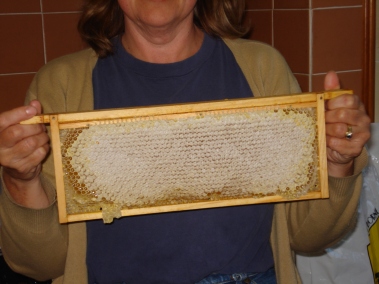picture of a frame of comb honey